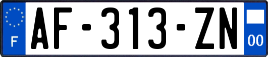 AF-313-ZN