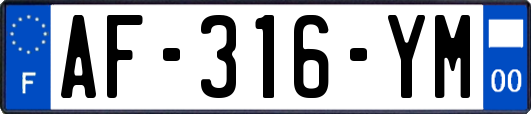 AF-316-YM