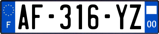 AF-316-YZ
