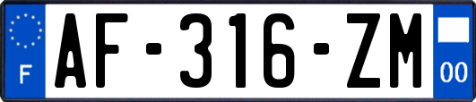 AF-316-ZM