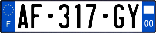 AF-317-GY