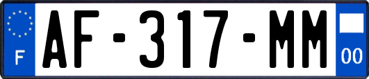 AF-317-MM