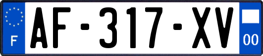 AF-317-XV