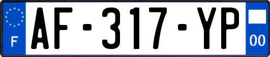 AF-317-YP