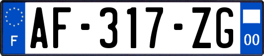 AF-317-ZG