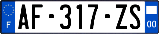 AF-317-ZS