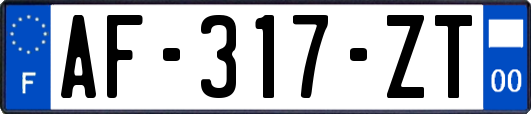 AF-317-ZT