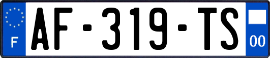 AF-319-TS