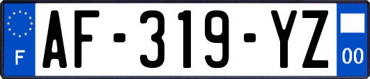 AF-319-YZ