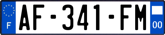AF-341-FM