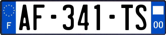 AF-341-TS