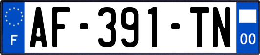AF-391-TN