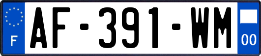 AF-391-WM