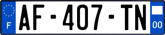 AF-407-TN