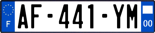 AF-441-YM