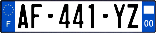 AF-441-YZ