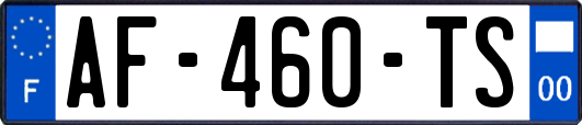 AF-460-TS