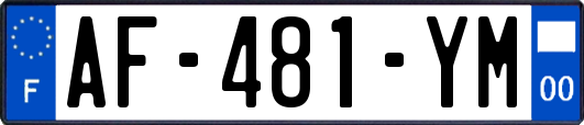 AF-481-YM