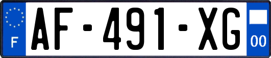 AF-491-XG