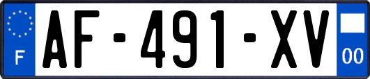 AF-491-XV
