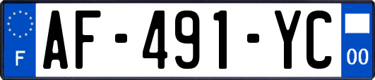 AF-491-YC