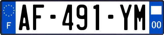 AF-491-YM