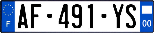 AF-491-YS