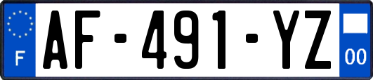 AF-491-YZ