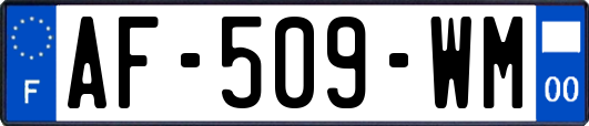 AF-509-WM