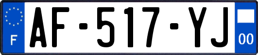 AF-517-YJ
