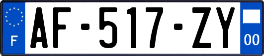 AF-517-ZY