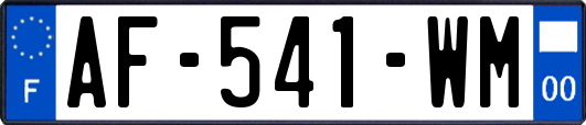 AF-541-WM