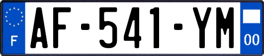 AF-541-YM