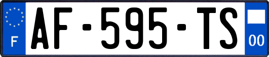 AF-595-TS