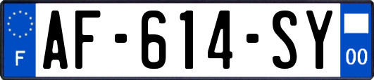 AF-614-SY