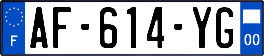 AF-614-YG