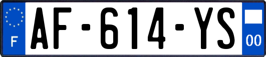 AF-614-YS