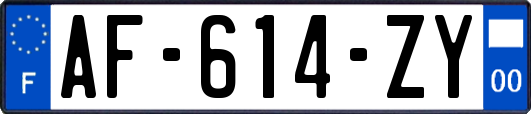 AF-614-ZY