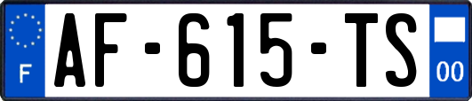 AF-615-TS