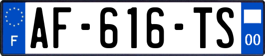 AF-616-TS