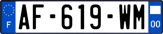 AF-619-WM