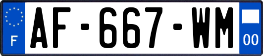 AF-667-WM