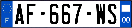 AF-667-WS