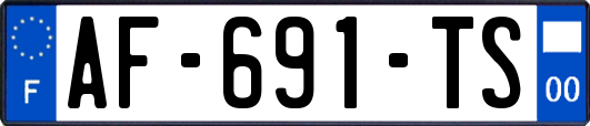 AF-691-TS