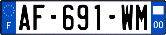 AF-691-WM