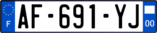AF-691-YJ