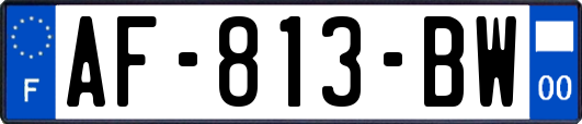 AF-813-BW