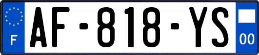 AF-818-YS