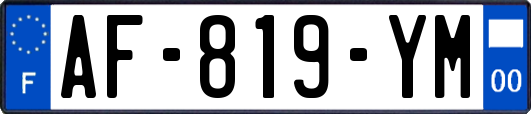 AF-819-YM
