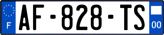 AF-828-TS